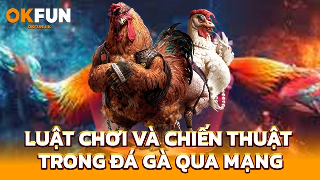 Luật chơi và chiến thuật trong đá gà qua mạng